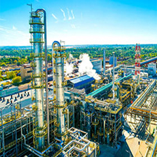 Petrochemicals Industries